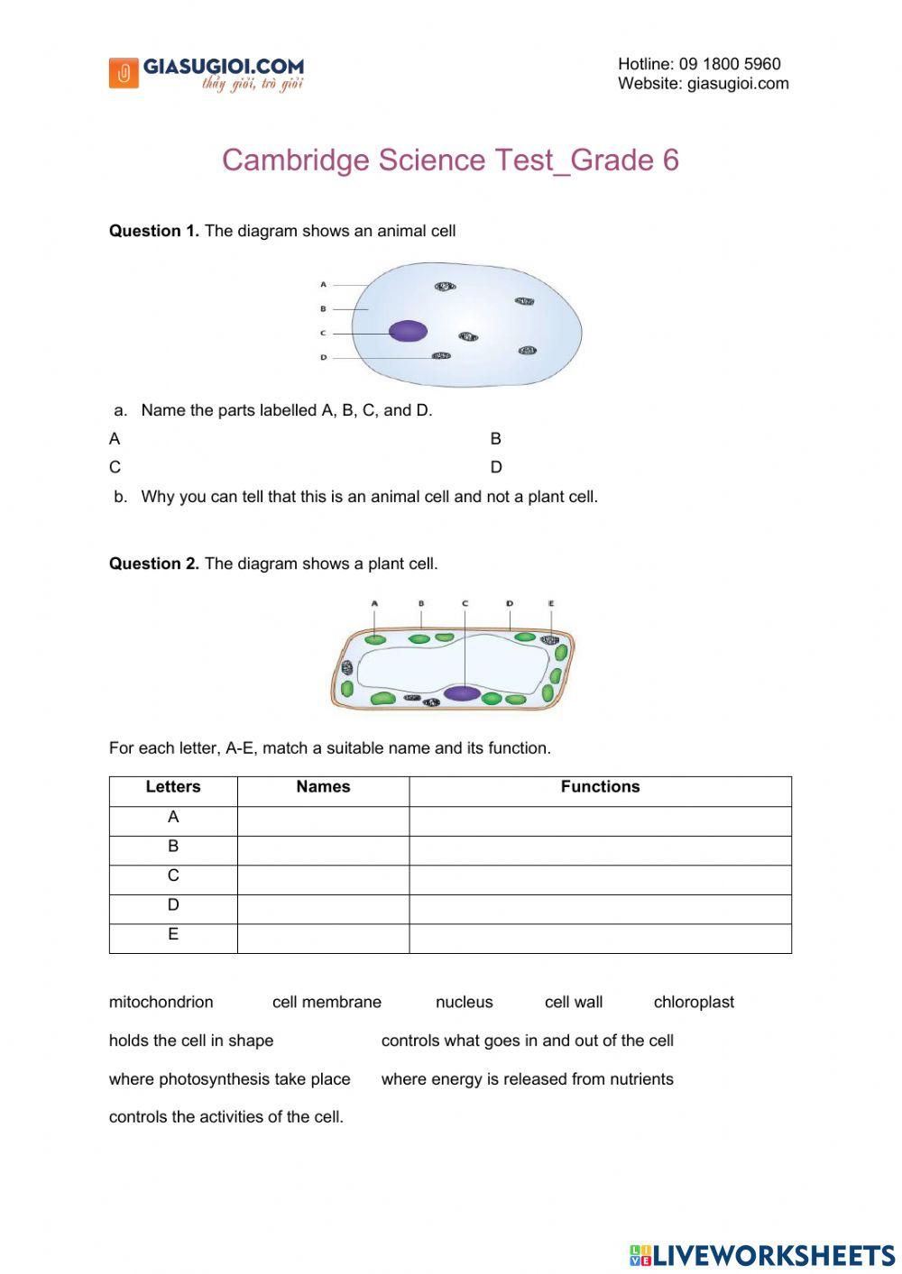 Cambridge - Science test – Grade 6