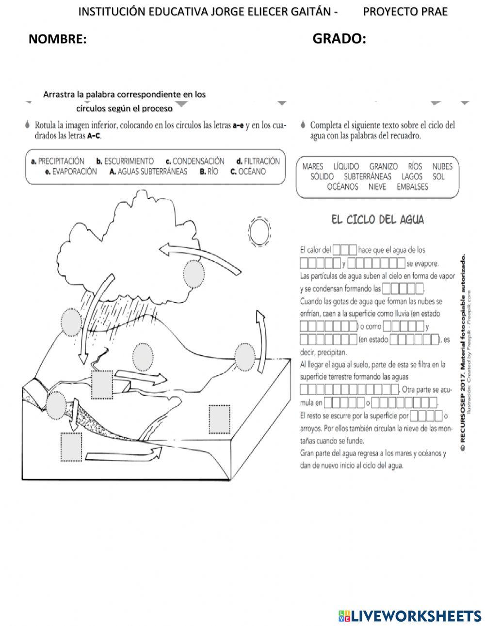Taller día del agua -prae