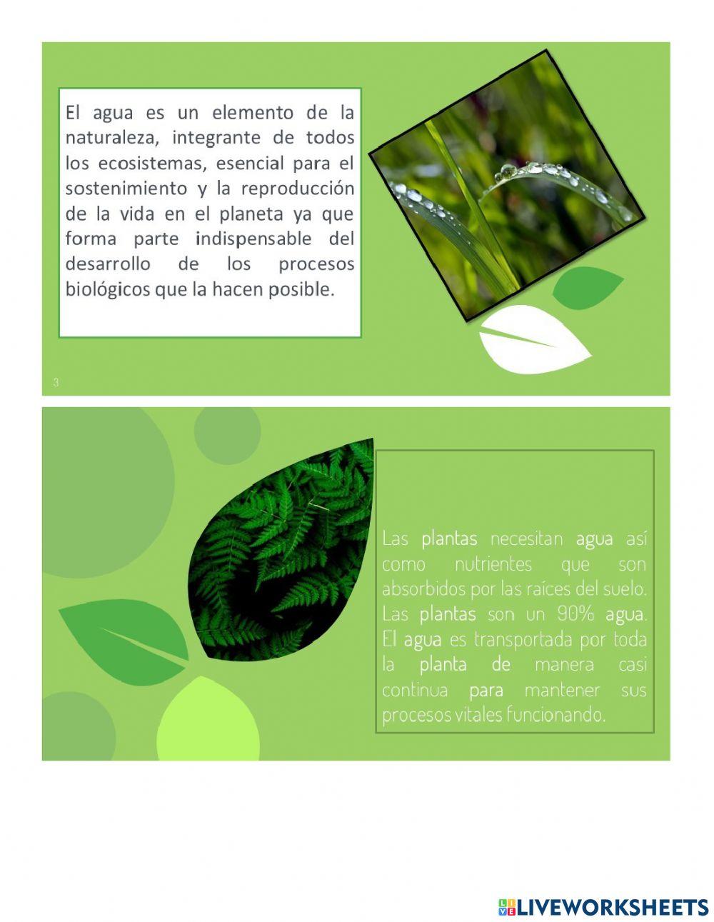 Taller día del agua -prae