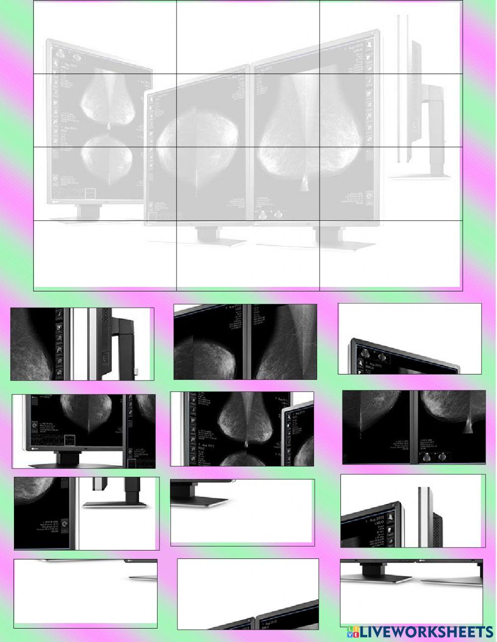 Evaluación primer bimestre