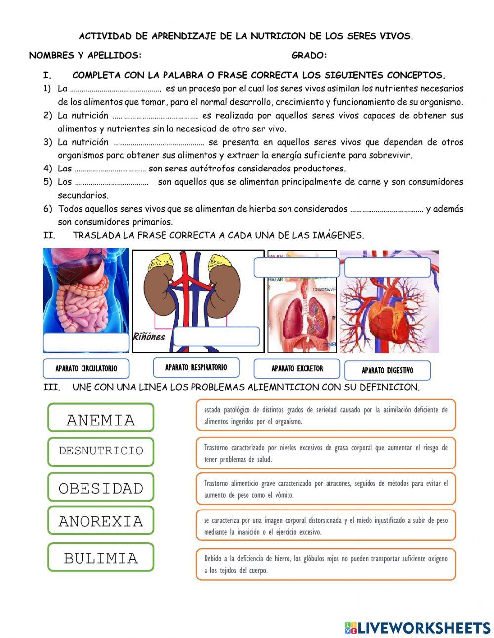 La nutricion de los seres vivos