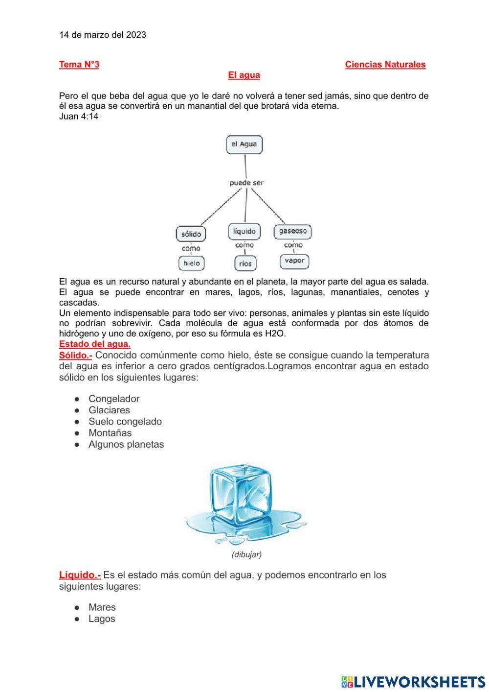 El agua ysus estados
