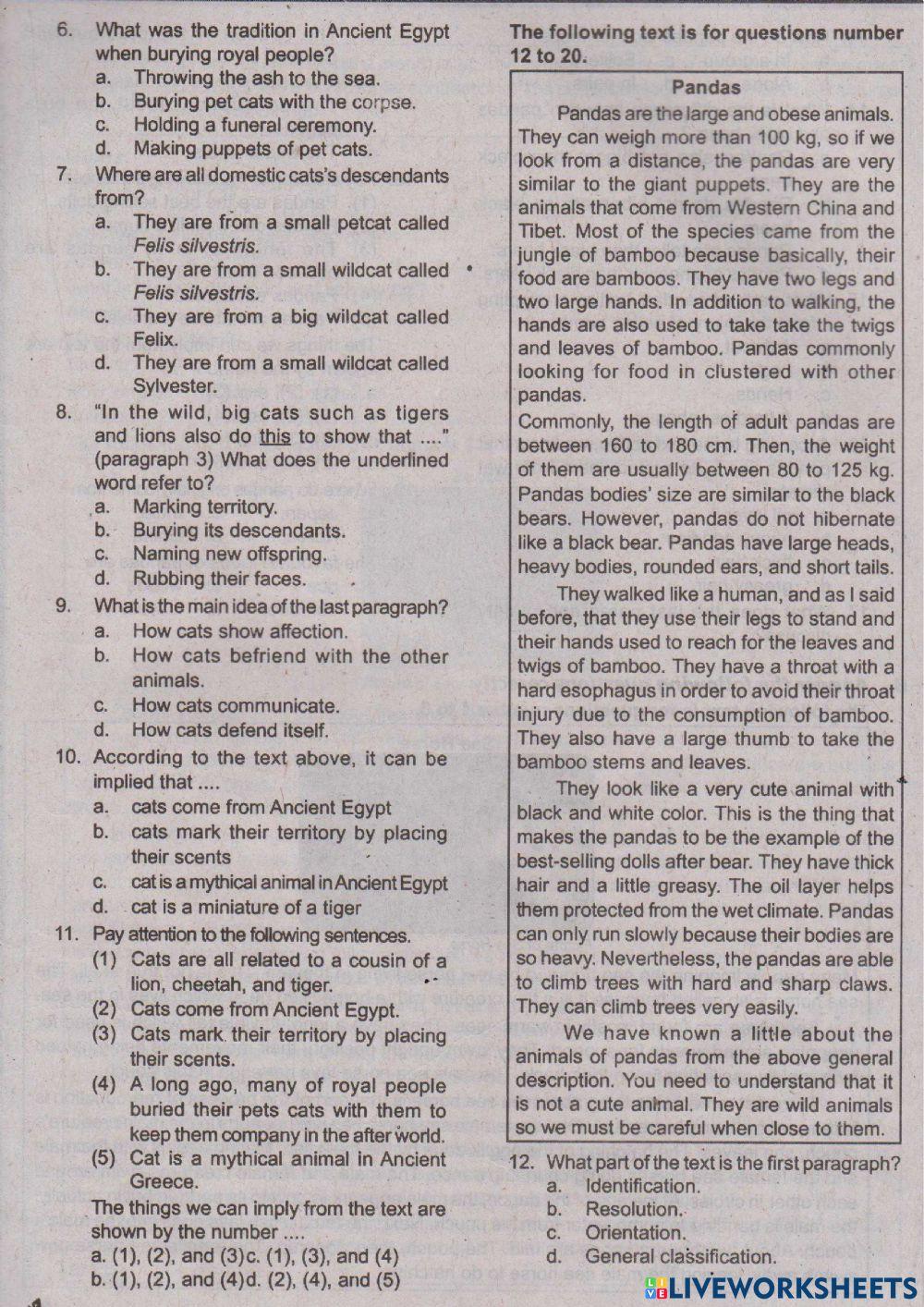 Ulangan Bahasa Inggris Kelas 9 BAB 3 MBHITC