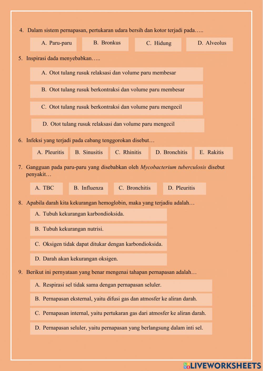 Sistem pernapasan manusia