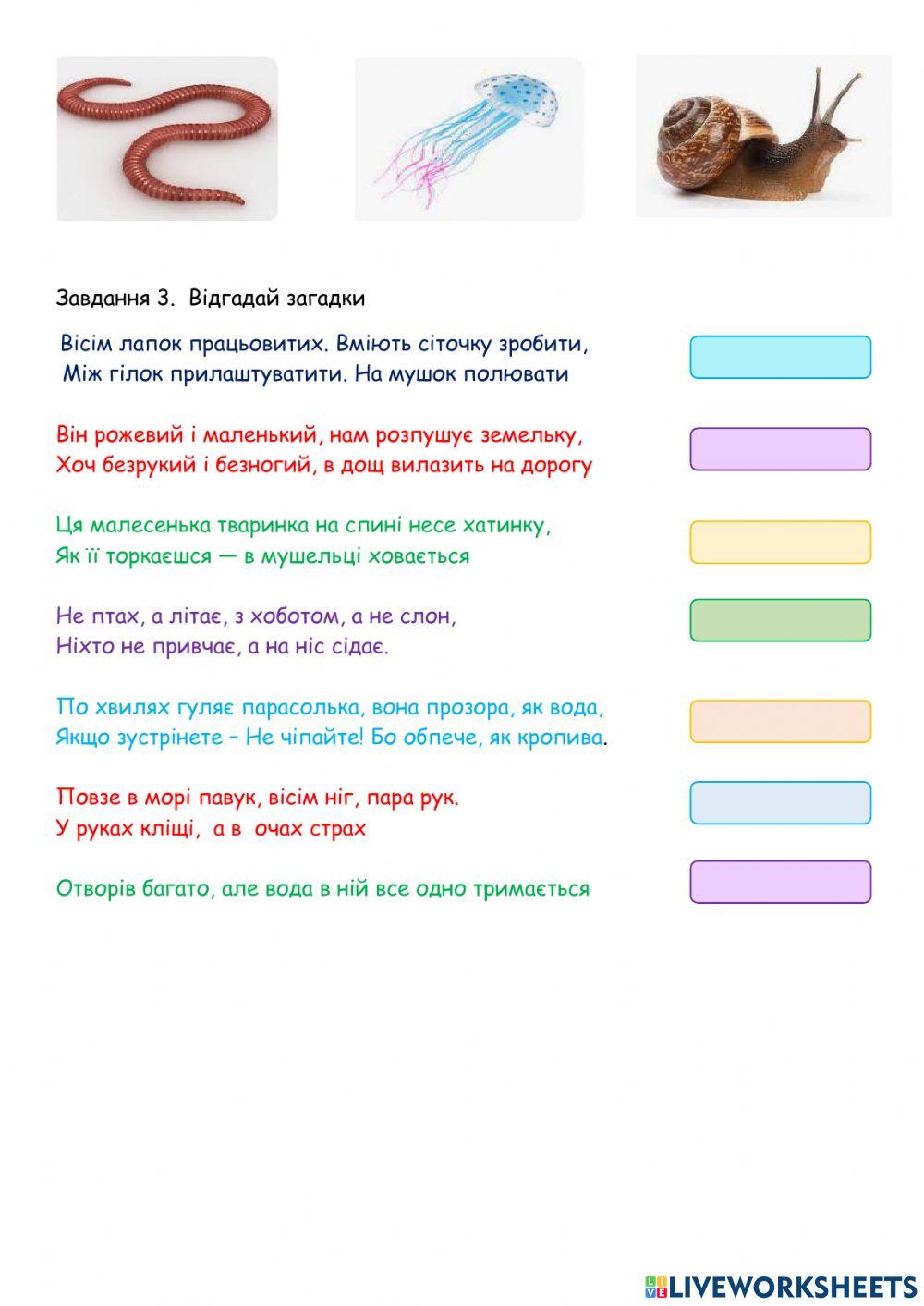 Хто такі безхребетні