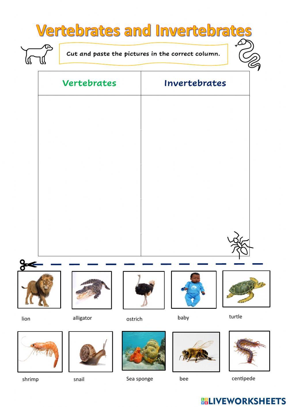 Vertebrates and Invertebrates