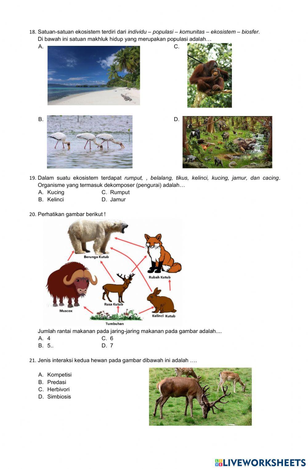 Latihan sts genap ipa
