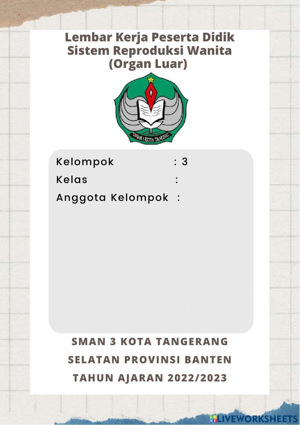 Sistem Reproduksi Manusia