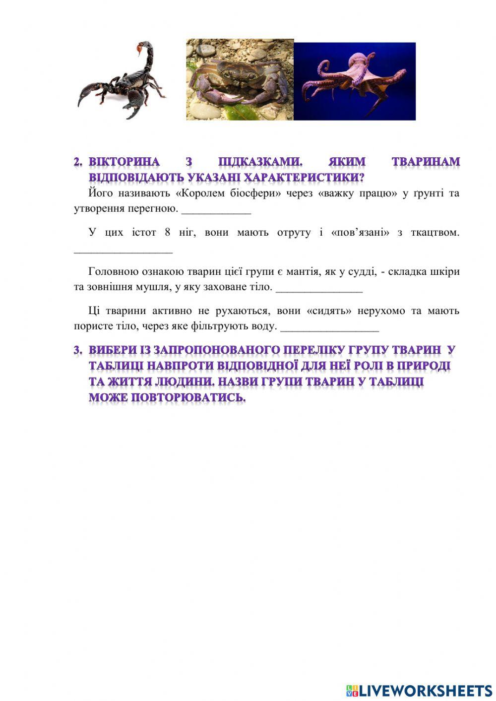 Хто такі безребетні тварини