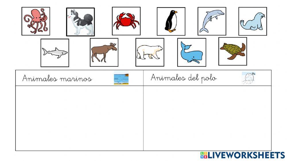 Clasificar animales marinos y del polo