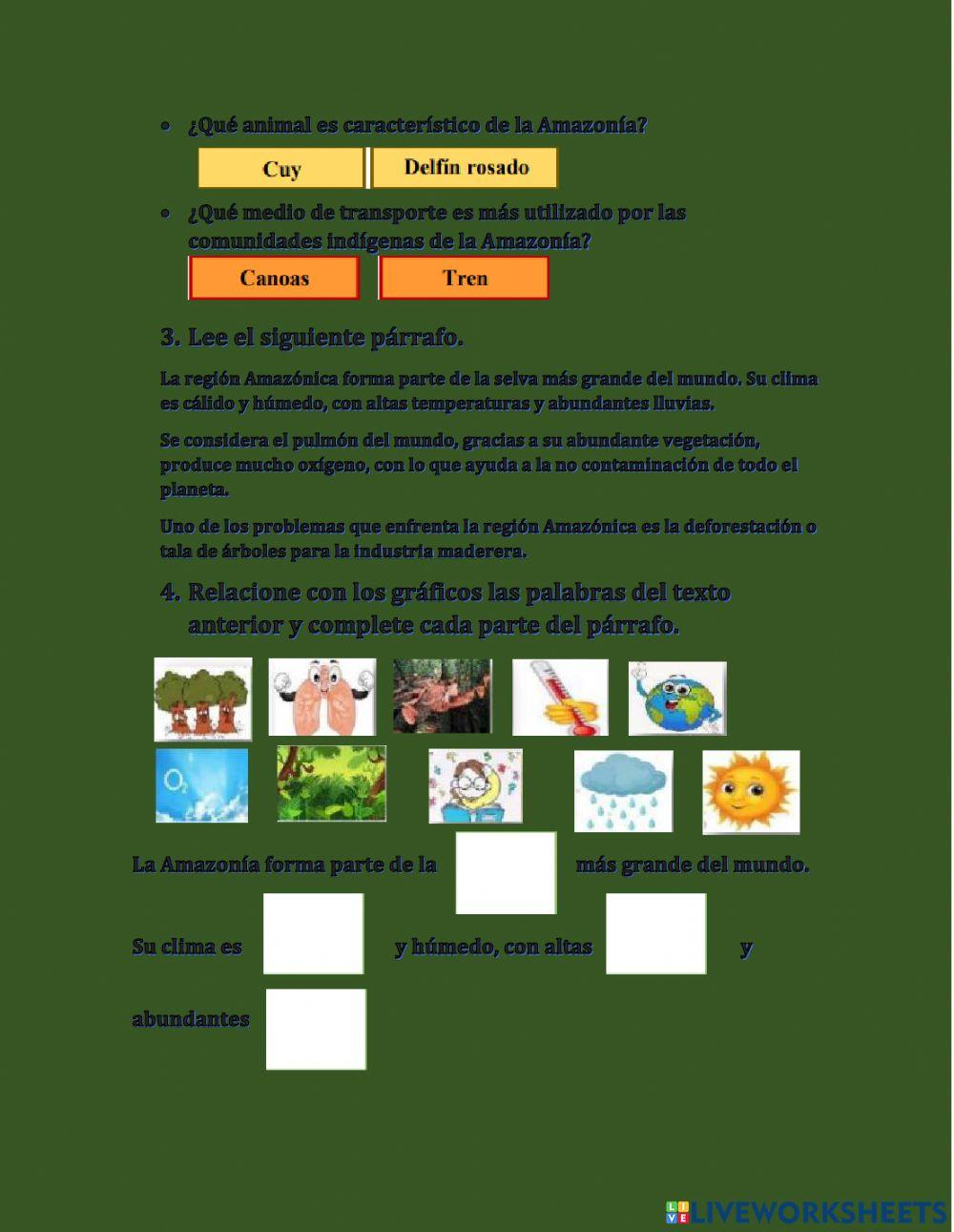 La Amazonía u Oriente