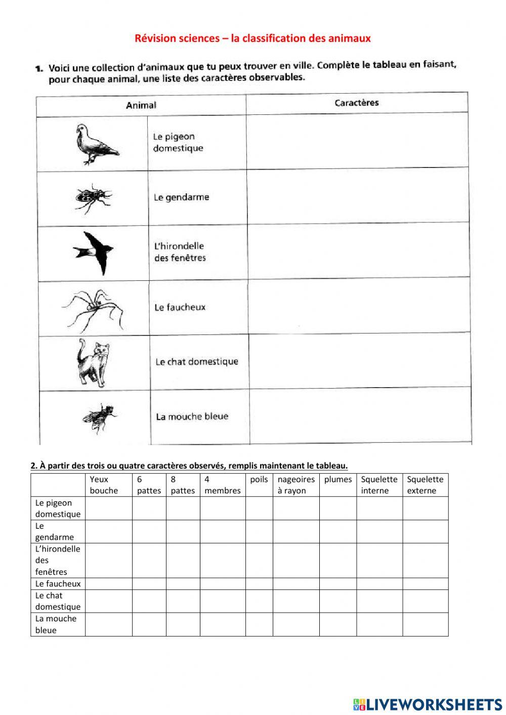 Classification Des Animaux Cm1 Pdf Classification des animaux worksheet | Live Worksheets