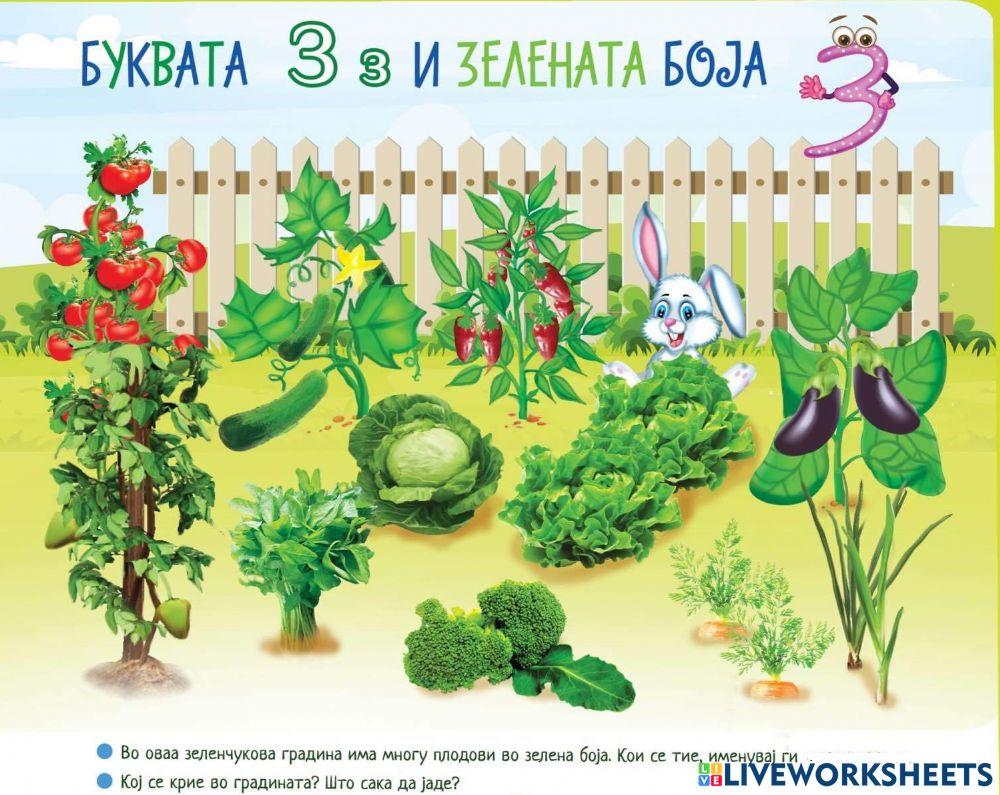 Буквата З (Во соработка со Росица) worksheet | Live Worksheets