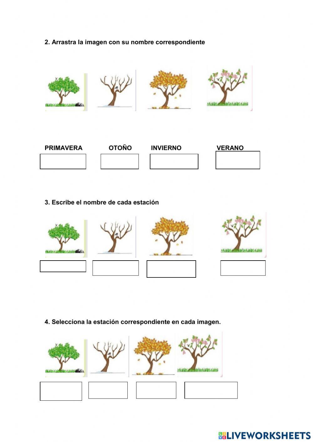 LAS ESTACIONES DEL AÑO