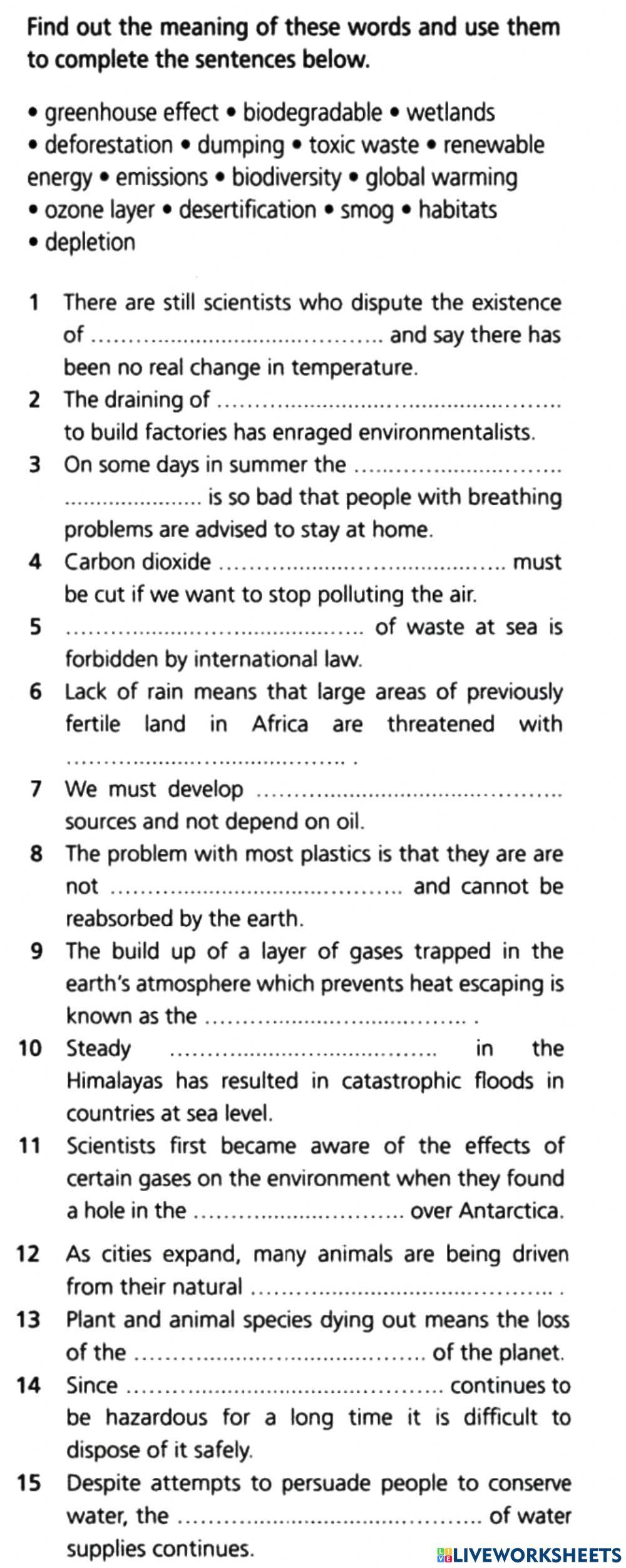 Environmental Issues 