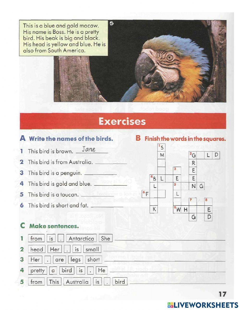 Start reading 1: Birds