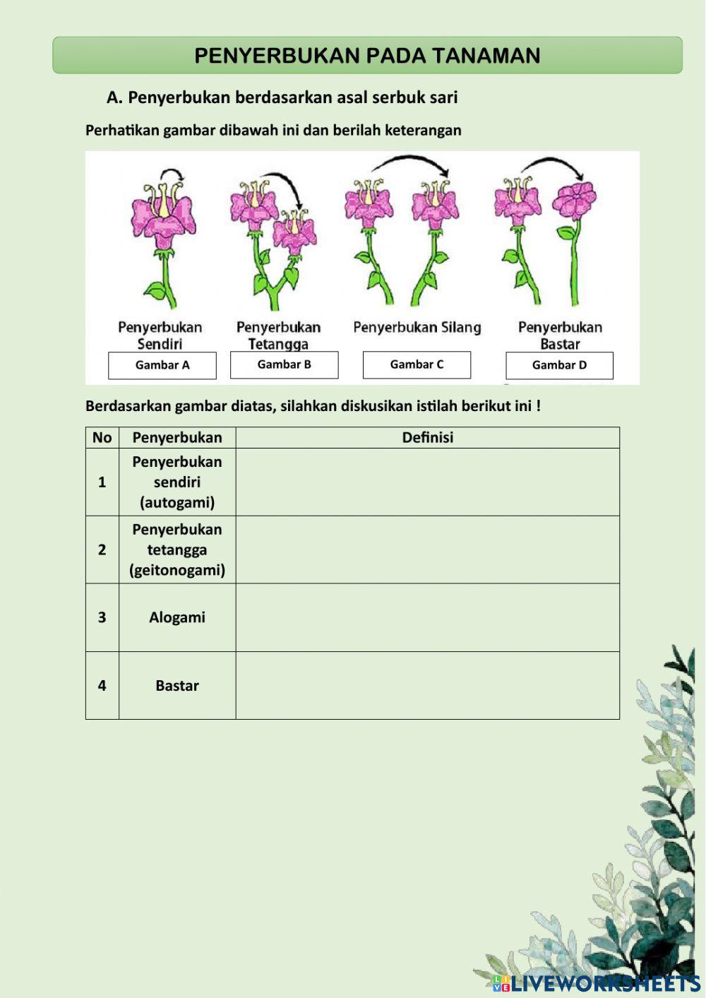 Reproduksi Generatif pada Tanaman