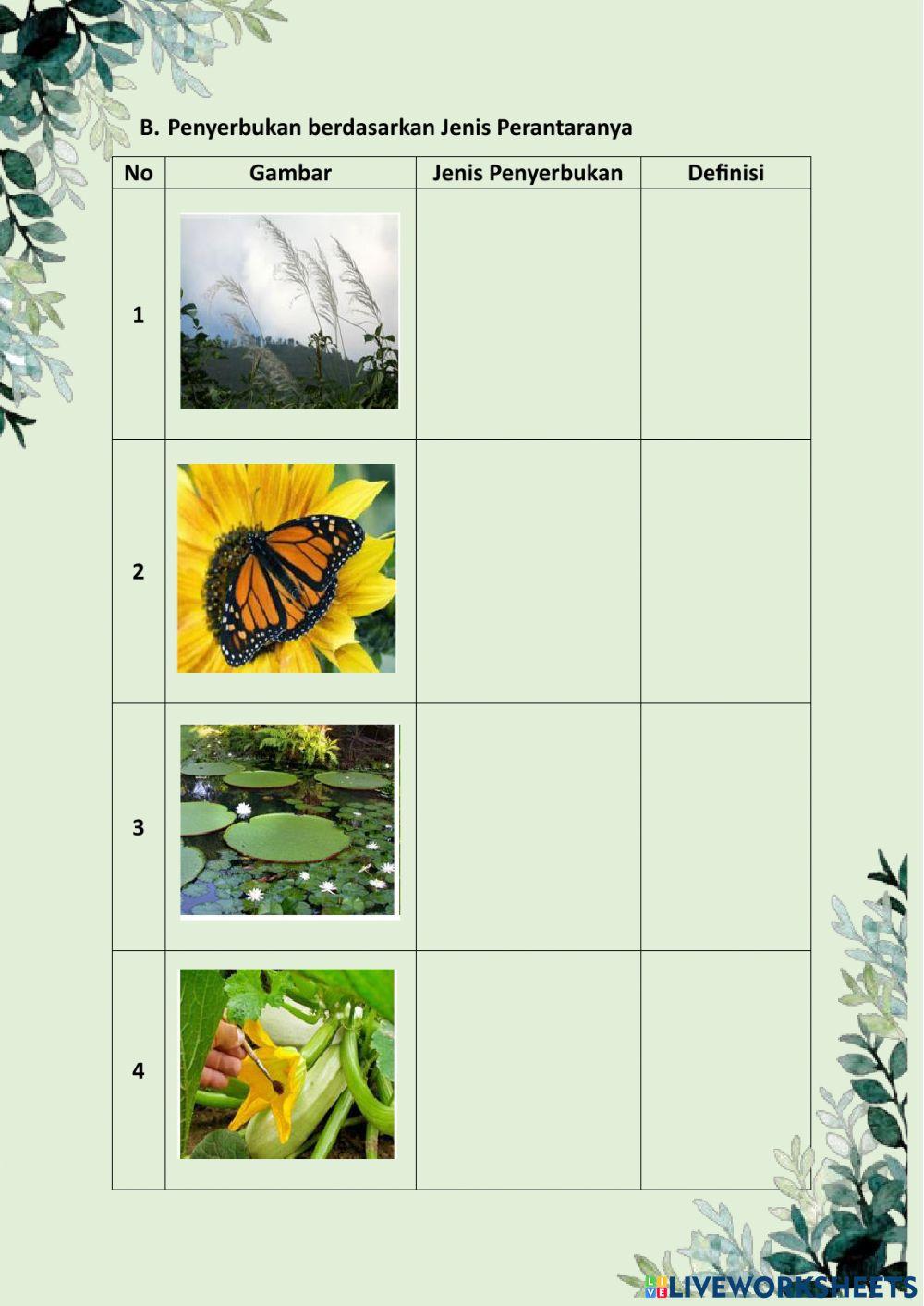 Reproduksi Generatif pada Tanaman