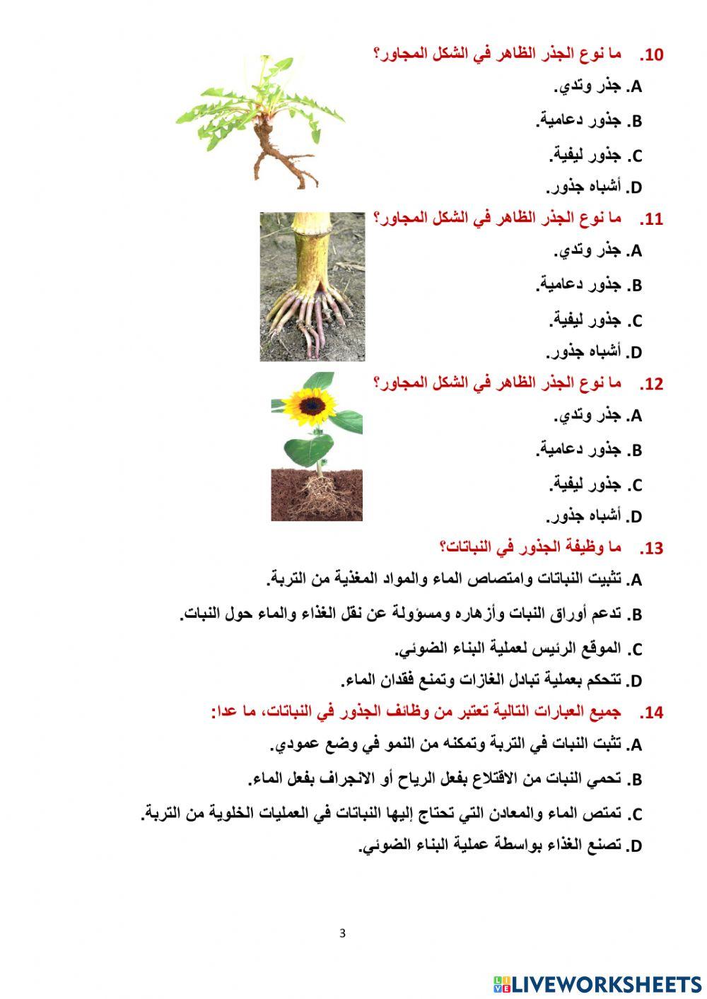مراجعة وحدة النبات سابع 2023
