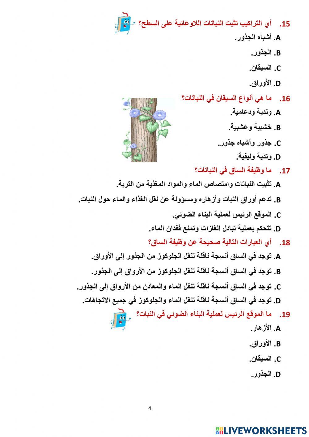 مراجعة وحدة النبات سابع 2023