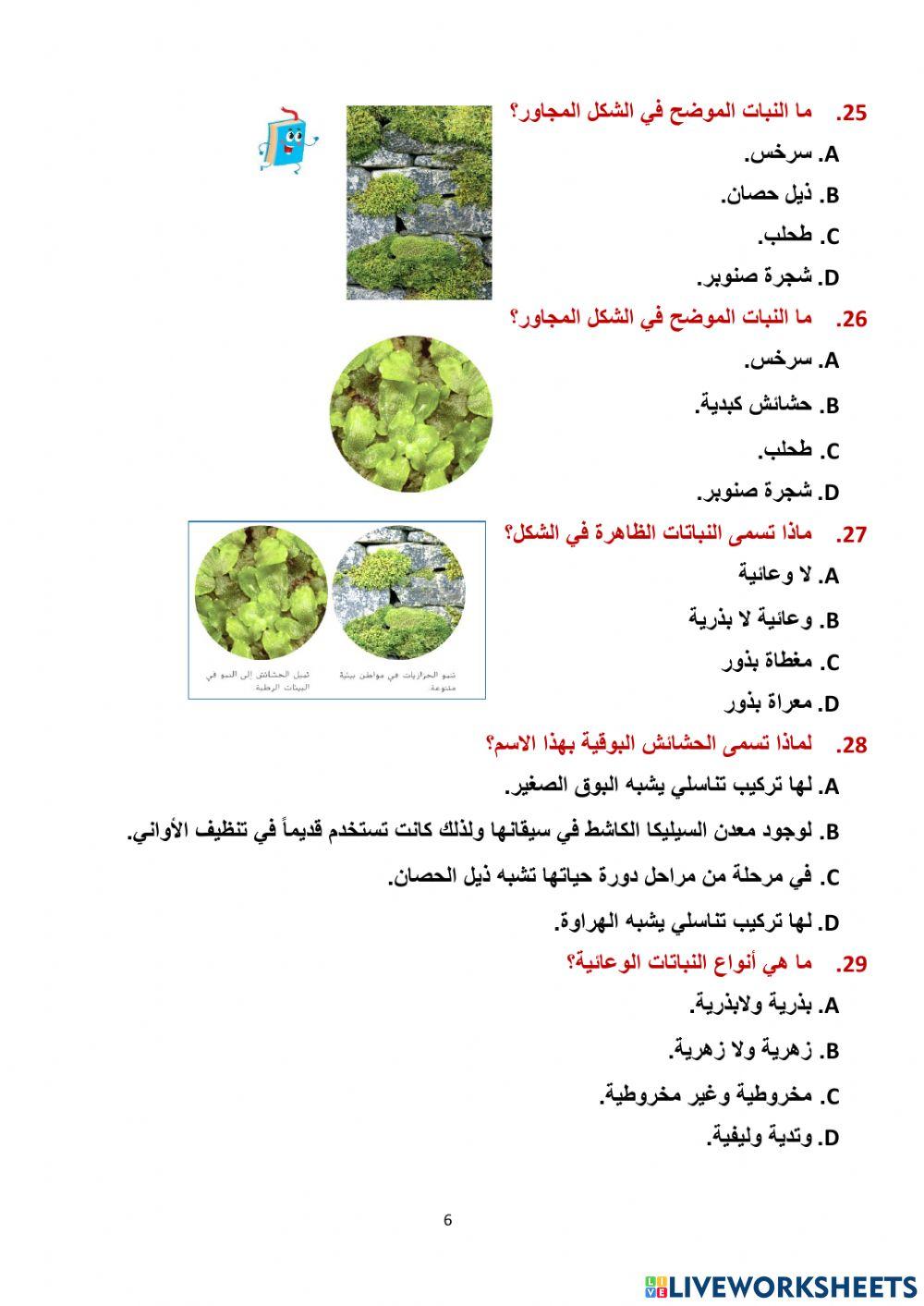 مراجعة وحدة النبات سابع 2023