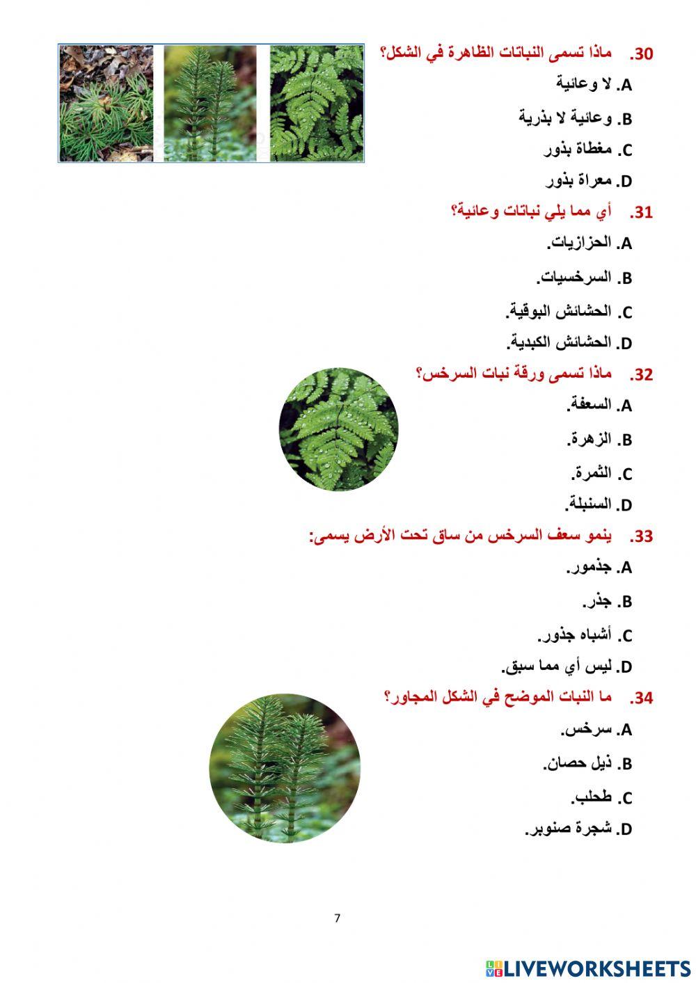 مراجعة وحدة النبات سابع 2023