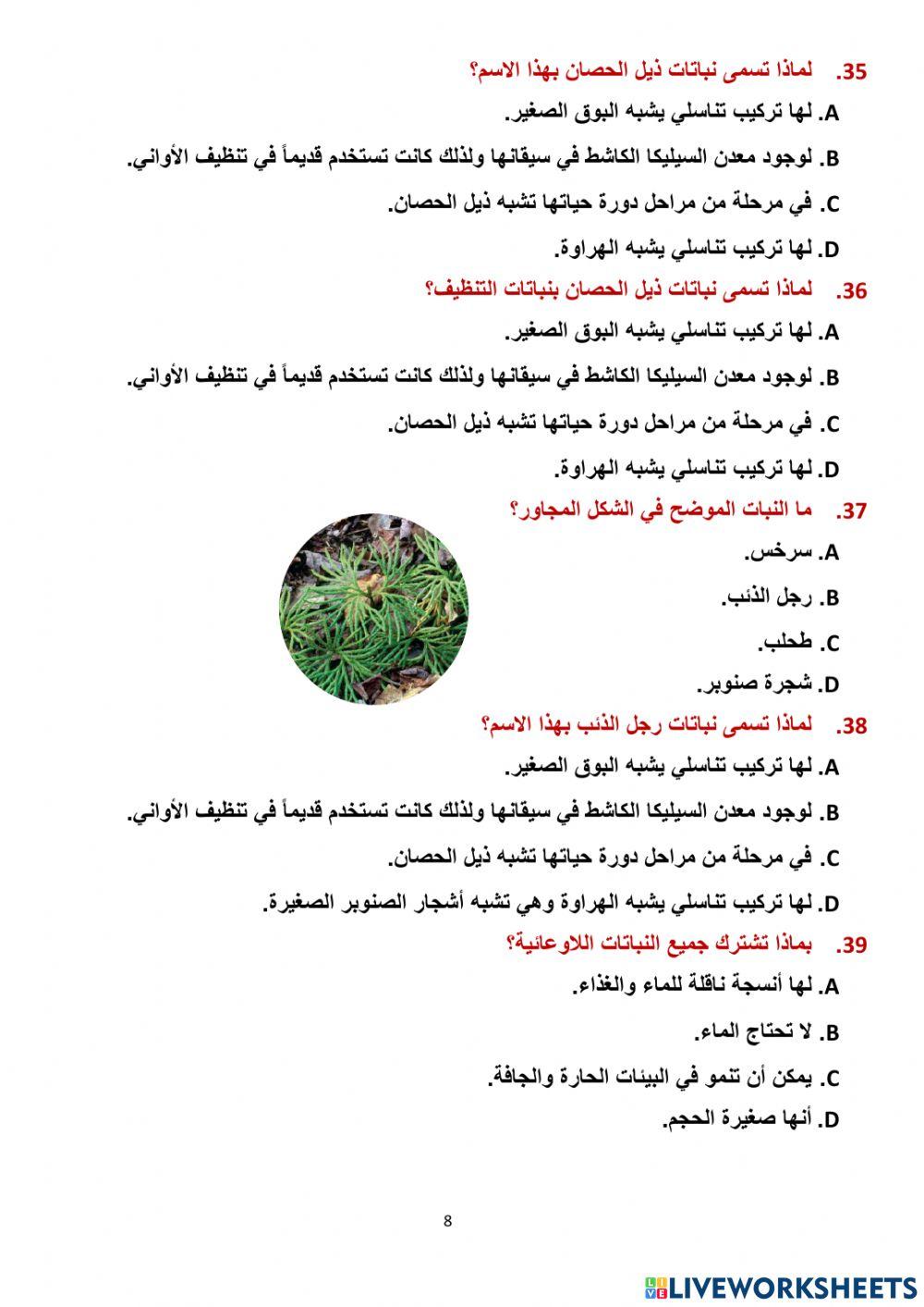 مراجعة وحدة النبات سابع 2023