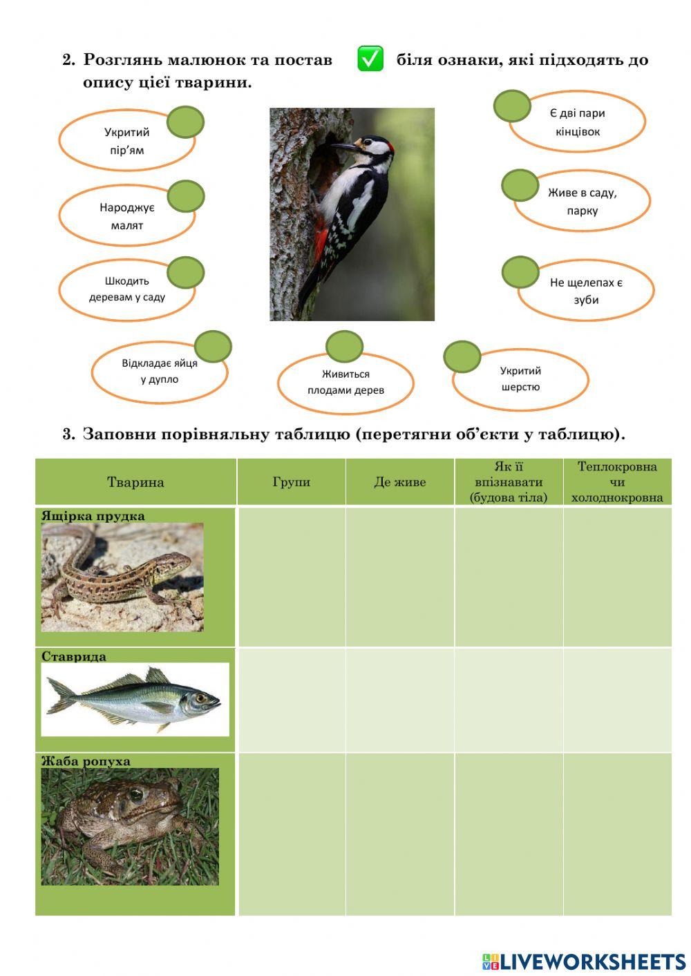 Визначення тварин України за особливостями зовнішньої будови