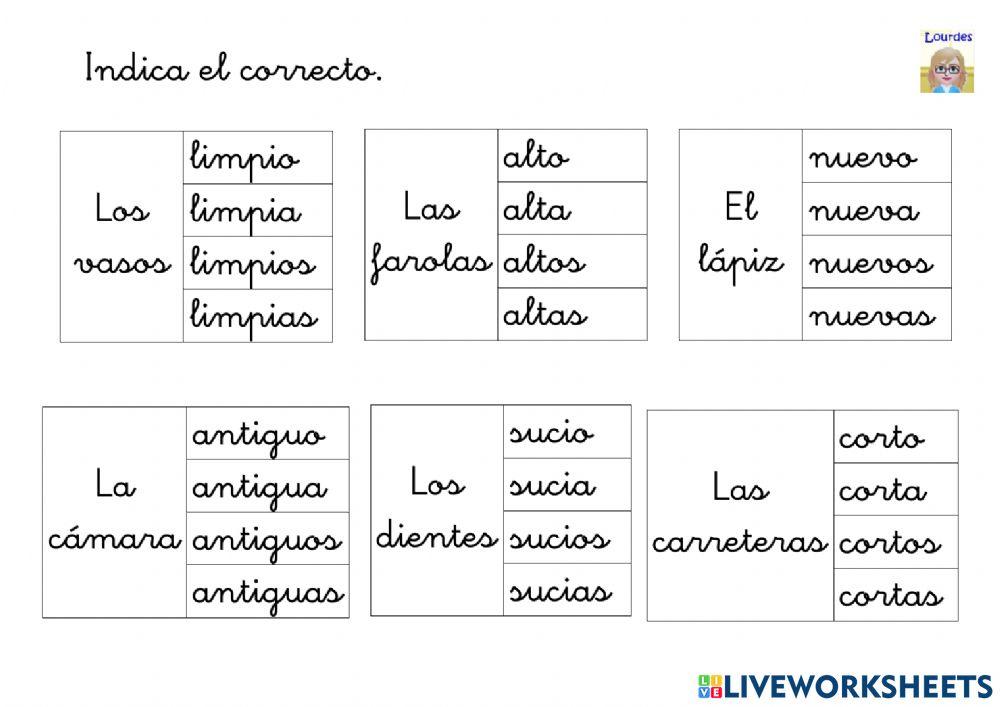 Concordancia con adjetivo