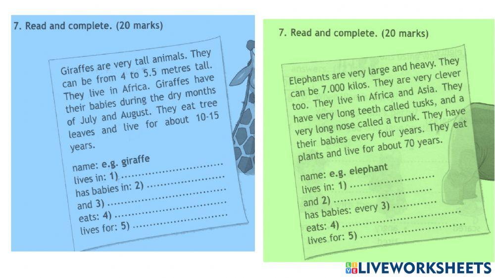 Junior Exploer 4 Test Unit 4 - Spotlight 4 Test Unit 4 worksheet | Live Worksheets
