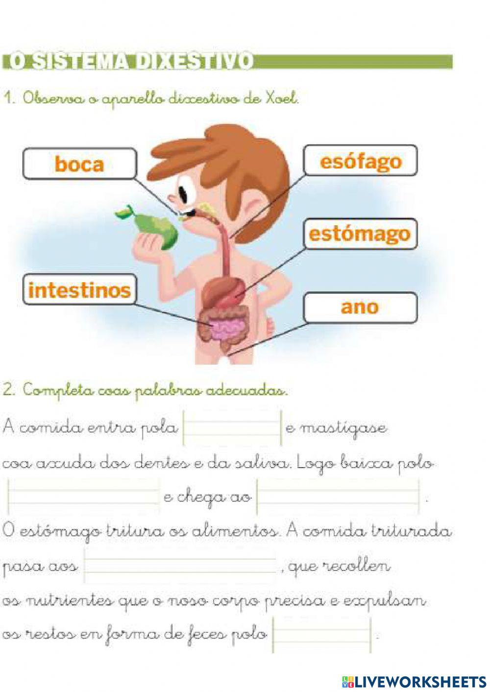 Sistemas do corpo humano