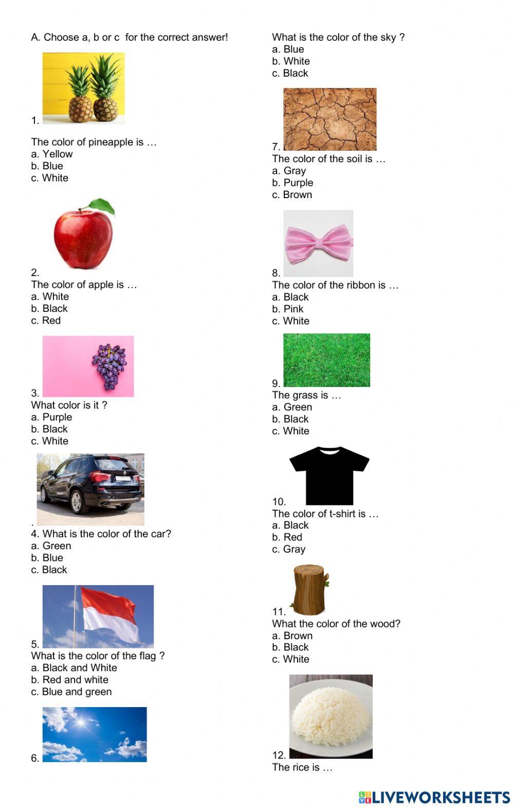 Sumatif tengah semester