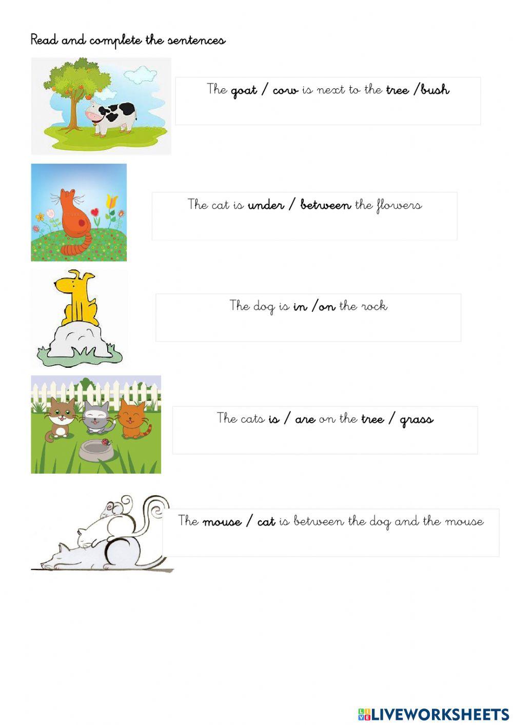 Prepositions