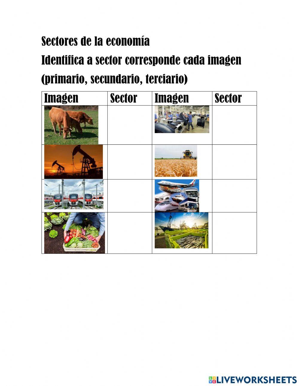 Sectores de la economía