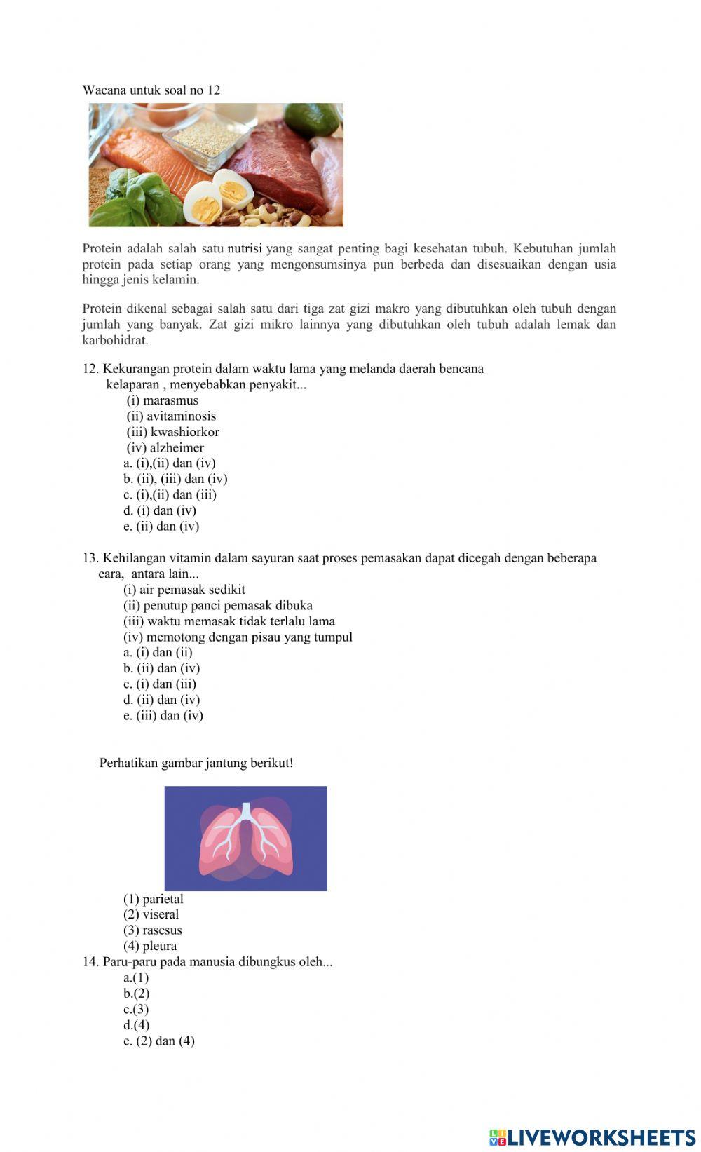 Ujian semester bilogi kelas xi