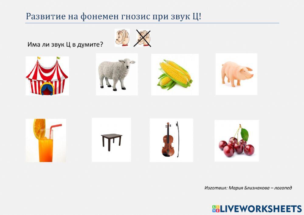 Развитие на фонемен гнозис при звук Ц