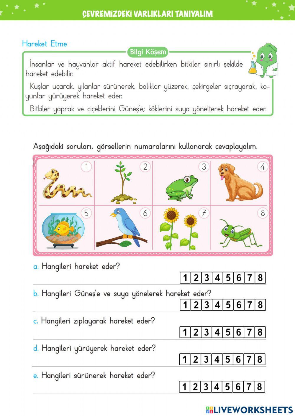 Canlıların Ortak Özellikleri