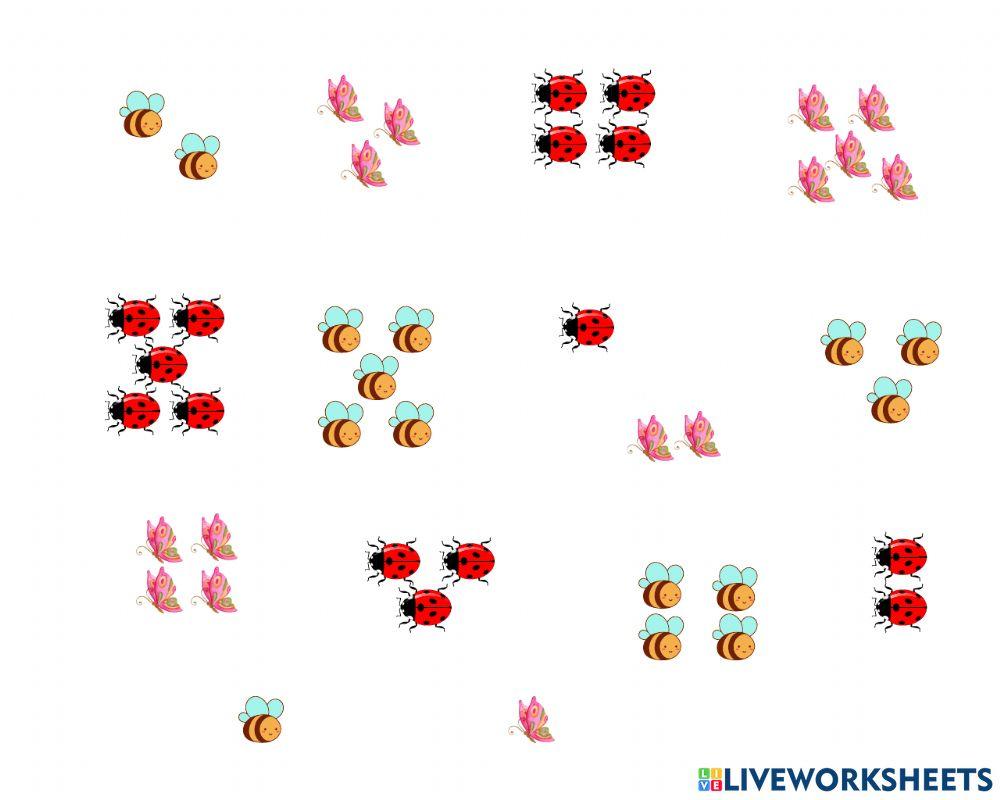 Panel double entry-Insects