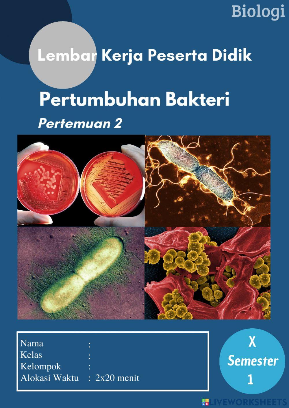 E-lkpd pertemuan 2 pertumbuhan bakteri