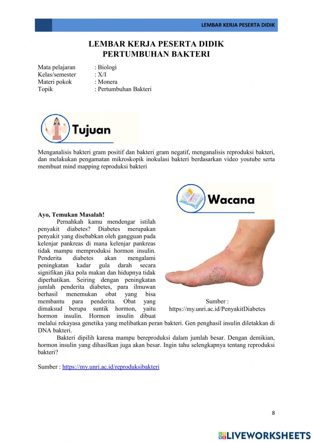 E-lkpd pertemuan 2 pertumbuhan bakteri