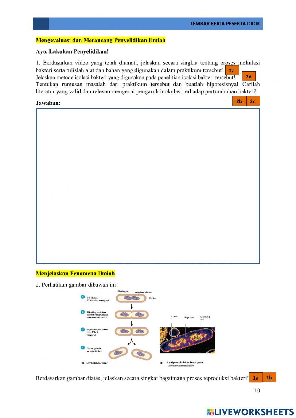 E-lkpd pertemuan 2 pertumbuhan bakteri