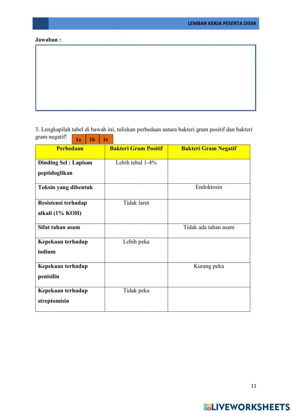 E-lkpd pertemuan 2 pertumbuhan bakteri