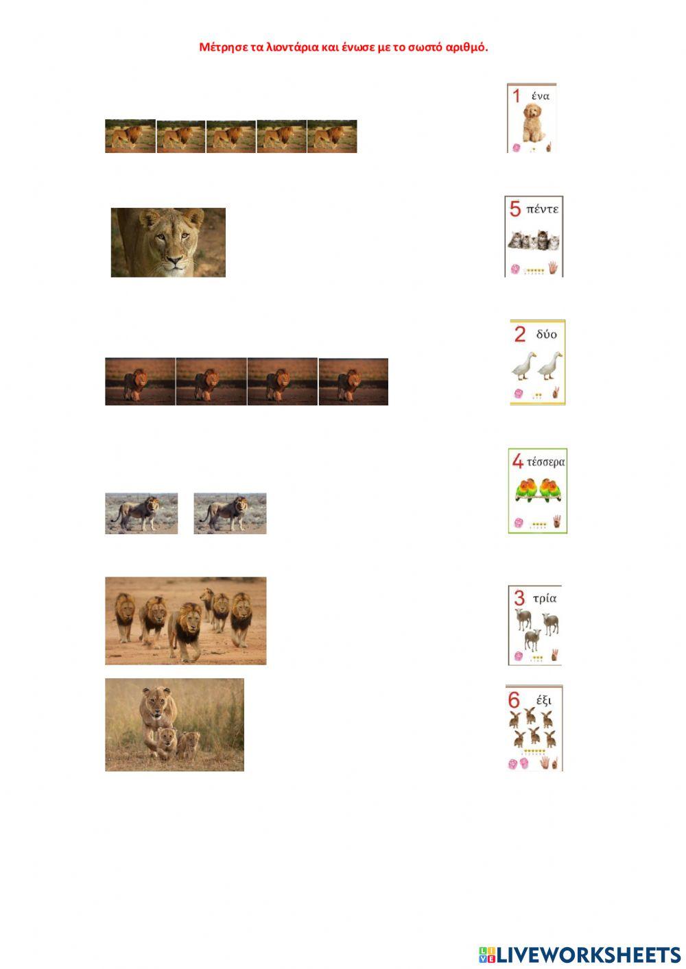 Μέτρησε τα λιοντάρια
