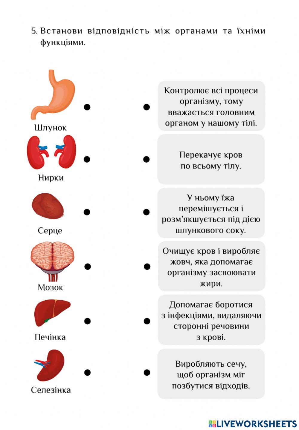 ЯДС ДР -Людина та її здоров'я-