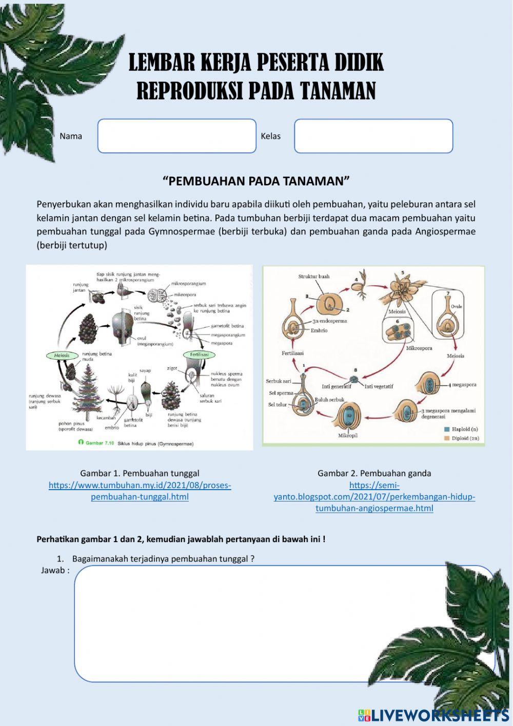 Pembuahan pada Tumbuhan