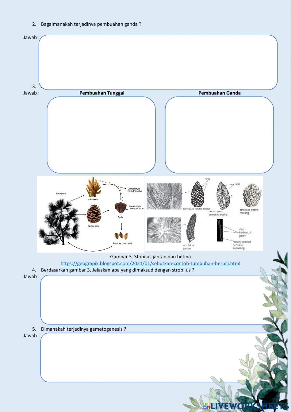 Pembuahan pada Tumbuhan