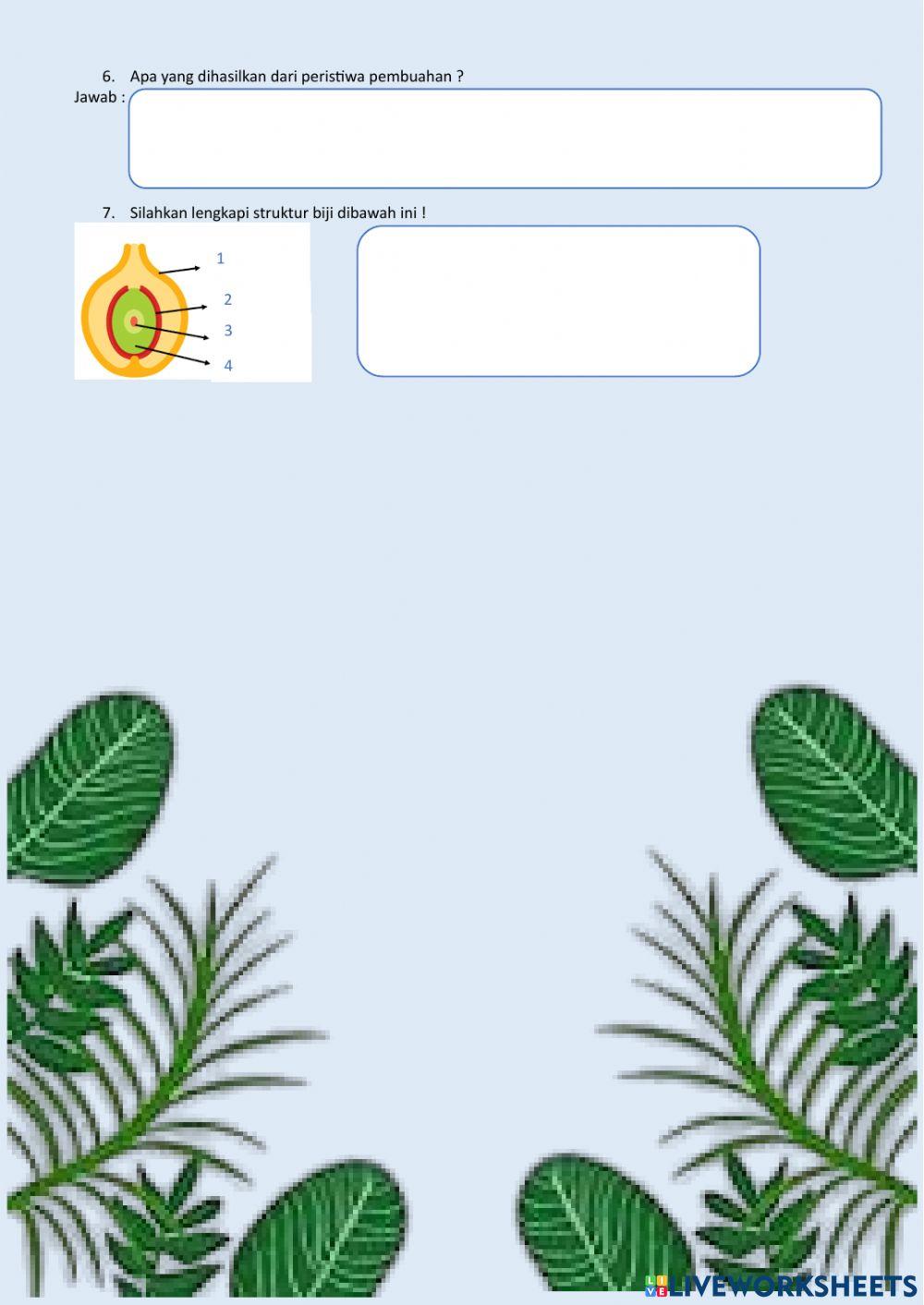 Pembuahan pada Tumbuhan