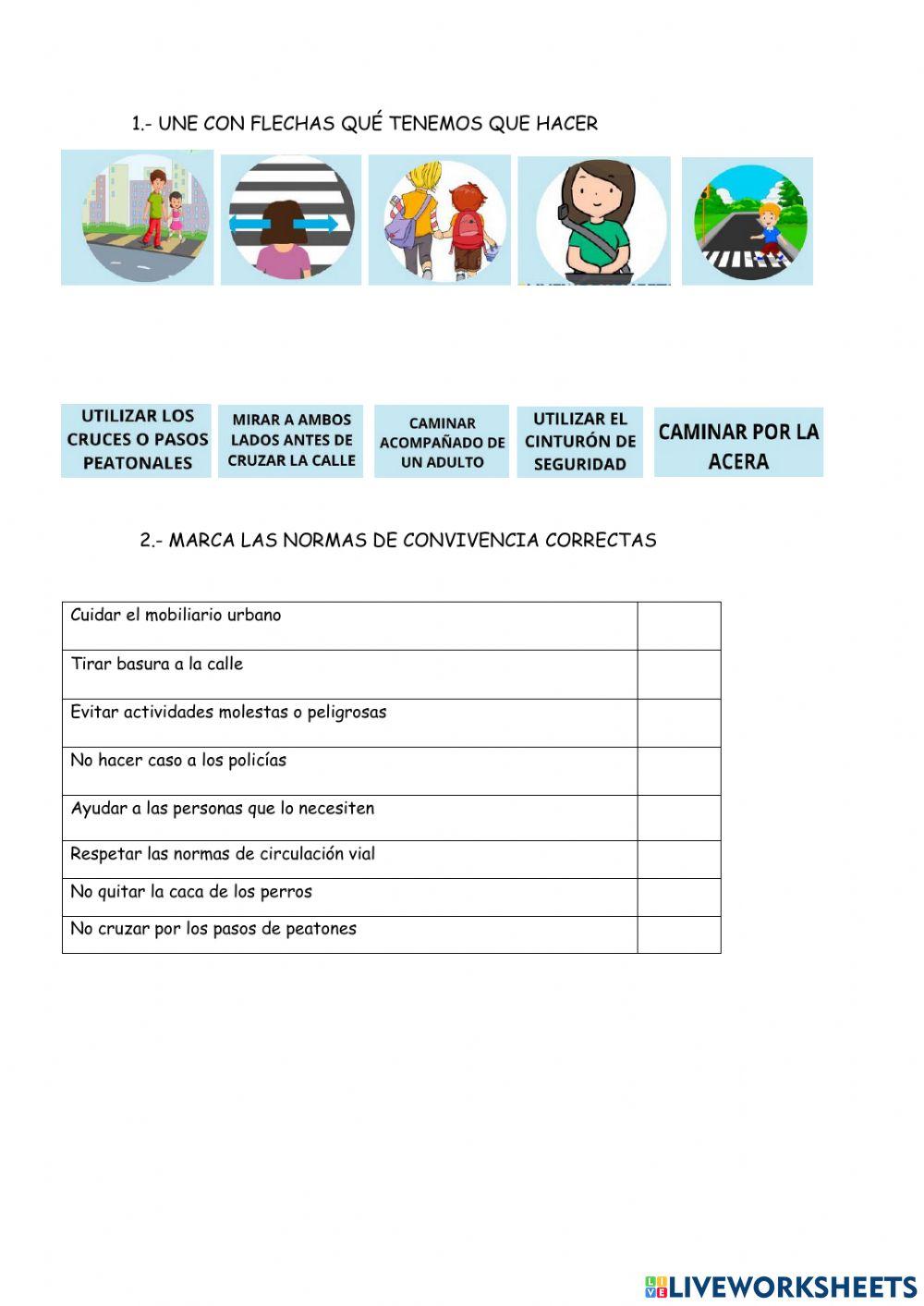 Educación vial Educación vial