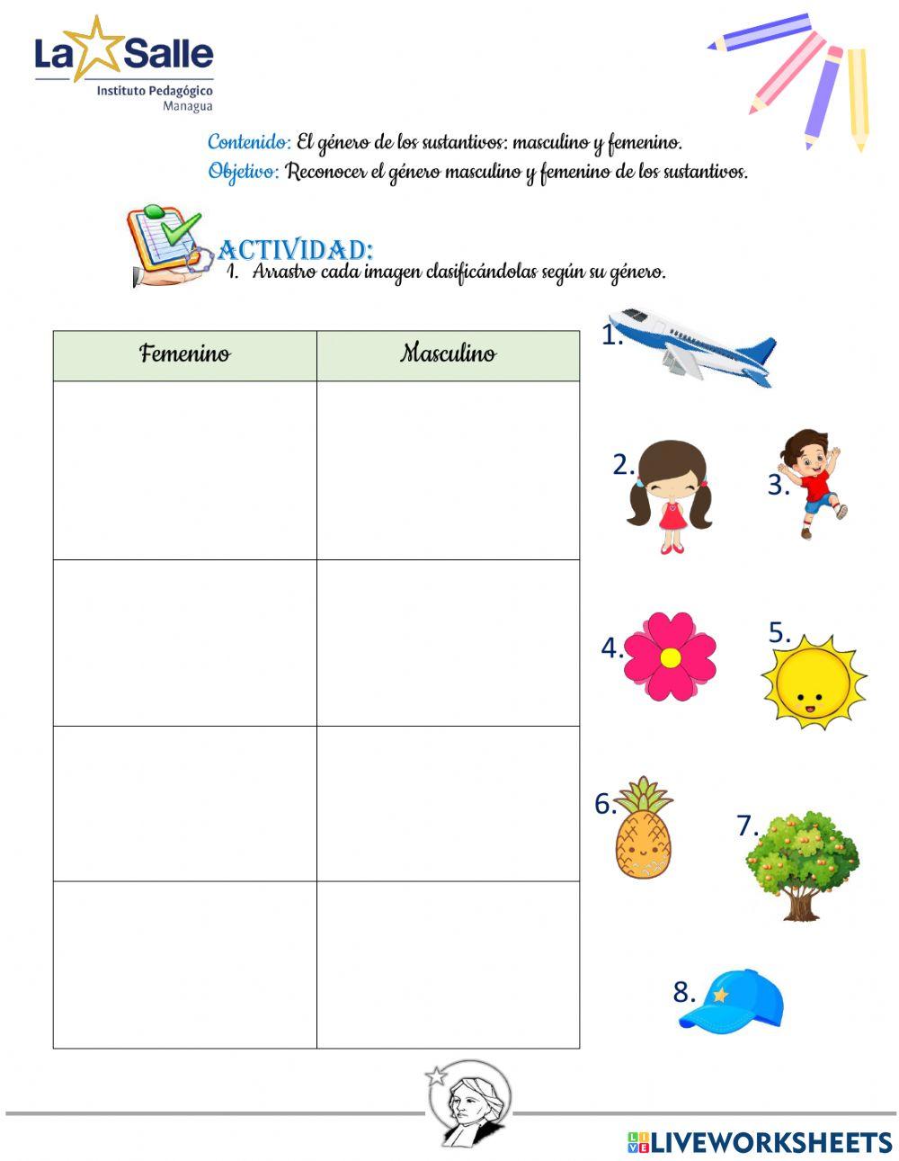 El género de los sustantivos