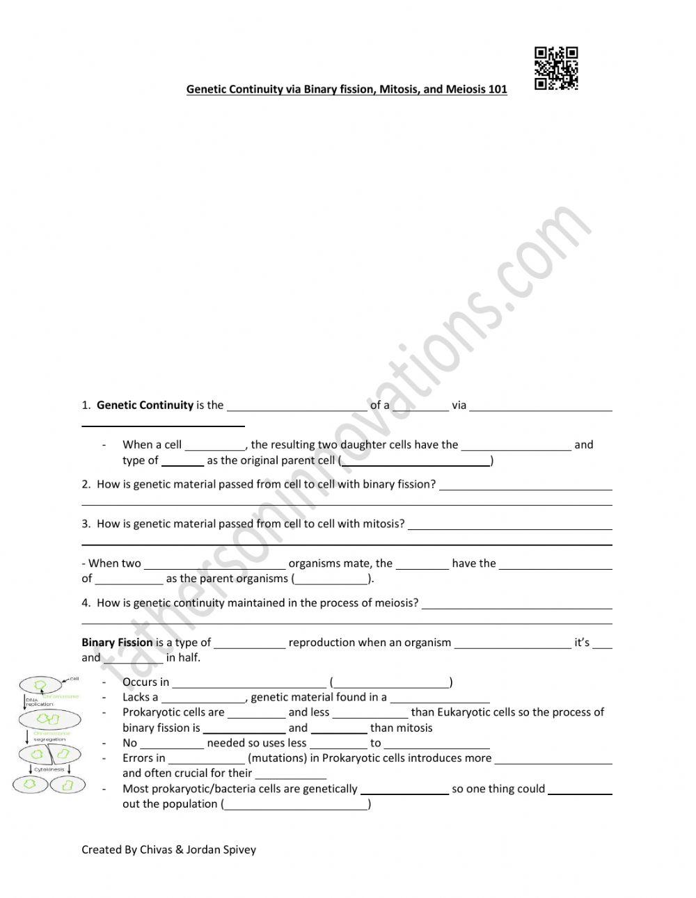 Genetic Continuity via Binary Fission, Mitosis, & Meiosis Video Notes